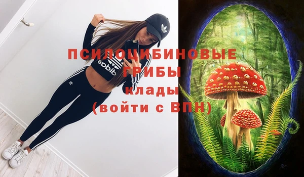 не бодяженный Краснотурьинск