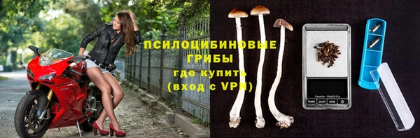 гашишное масло Краснослободск