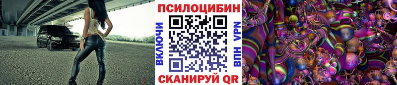 закладка  KRAKEN ССЫЛКА  площадка какой сайт  Суровикино  Псилоцибиновые грибы Cubensis 